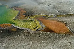 Thumb: Pools at West Thumb Geyser Basin