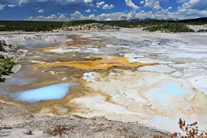 Geysers: Porcelain Basin - part of the Norris Geyser Basin