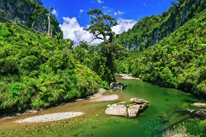 Waterway: The Pororari River, Paparoa National Park, Punakaiki, New