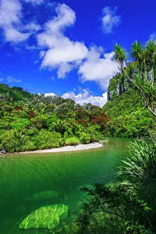 Waterway: The Pororari River, Paparoa National Park, Punakaiki, New