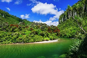 Waterway: The Pororari River, Paparoa National Park, Punakaiki, New