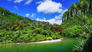 Waterway: The Pororari River, Paparoa National Park, Punakaiki, New