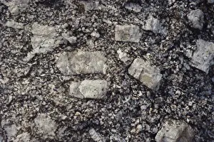 Intrusive: Porphyritic Granite