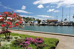 Yachts: Port of Waikiki, Honolulu, O'ahu, Hawai'i, USA