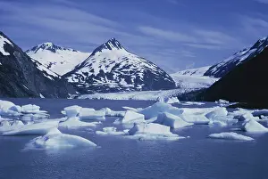 Kenai: Portage Glacier