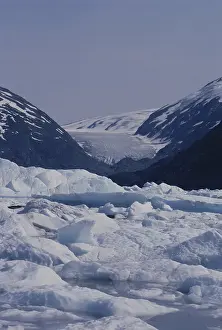 Kenai: Portage Glacier