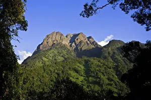 Albertine: The Portal Peaks in the Rwenzori, Uganda