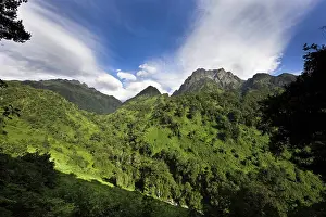 Albertine: The Portal Peaks in the Rwenzori, Uganda