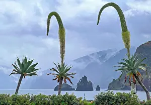 Basin: Porto Moniz, north-west of Madeira Island, natural