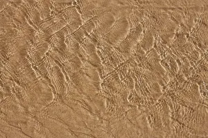 Santo: Porto Santo Island's beach - Water on a sand beach