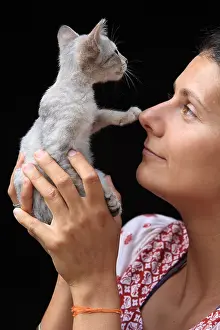 Indochinese: Portrait of a young woman with a gray kitten in Burma