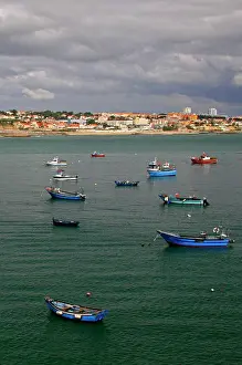Moored: Portugal, Cascais. Fishing boats anchored