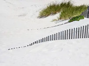Nova: Portugal, Costa Nova. Beach grass, sand and old