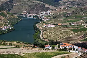 Douro: Portugal, Douro Valley, Pinhao. The vineyards