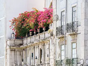 Julie: Portugal, Lisbon. Colorful Bougainvillea trailing