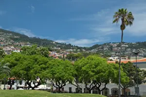 Foothill: Portugal, Madeira Island, Funchal