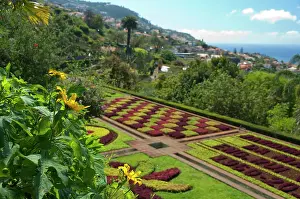 Check: Portugal, Madeira Island, Funchal. Botanical