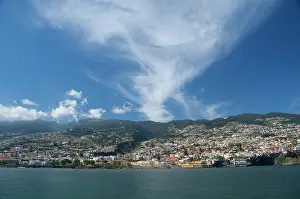 Ilha: Portugal, Madeira Island, Funchal. Scenic