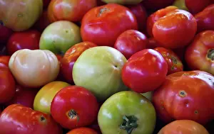 Algarve: Portugal, Olhao. Produce in a public market