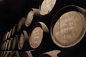 Stacked: Portugal, Porto. Wooden barrels of Port