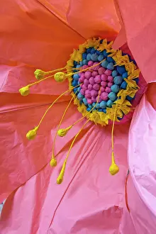 Festival: Portugal, Tomar. Close-up of paper flowers