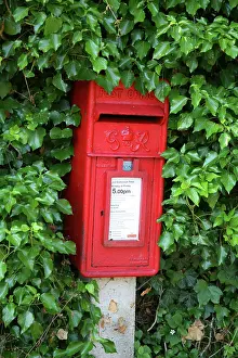 Thames: Post box in ivy, Henley-on-Thames, England