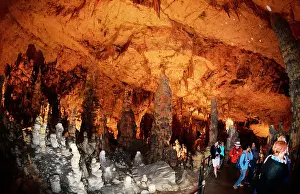 Stalactite: Postojna Cave, 22 km long and dug by the Pivka river