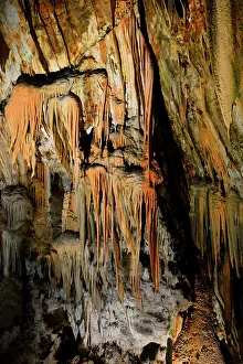 Stalactite: Postojna Cave, 22 km long and dug by the Pivka river