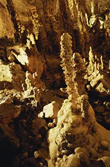 Dripstone: Postojna Cave, Slovenia