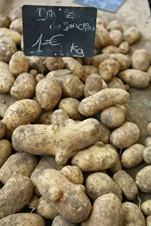 Saved: Potato