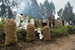 Collectors: Potato farmers waiting for collectors