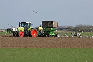 Potatoes: Potato Planting Machine Island of Texel, Holland, Europe