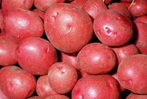 Potatoes: Potato - Red