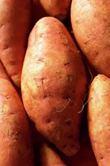 Potato: Potato, Solanum tuberosum, Studio shot several red