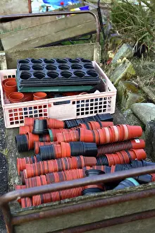 Allotment: Pots
