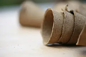Biodegrabable: Pots