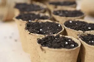 Biodegrabable: Pots