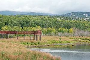 Potter: Potter Marsh