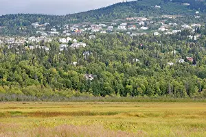 Potter: Potter Marsh