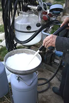 Cans: Potting goat milk France