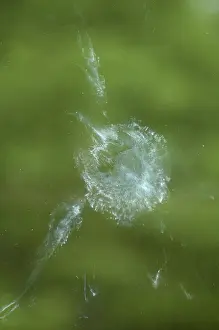 Accident: Powder Down Window Mark