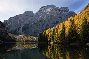 Larix: The Pragser Wildsee (Lake Prags, Lago die