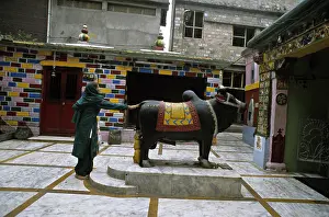 Sculptures: Prayer to Nandi Mandi Himachal Pradesh India