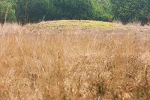 Esdorp: Prehistoric burial mound in heathland