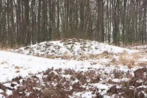 Drentsche: Prehistoric burrial mound in heathland with snow