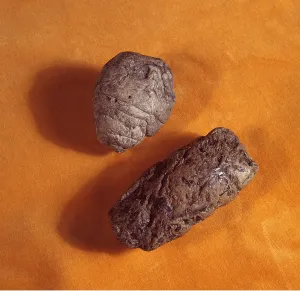 Faeces: PREHISTORIC - Coprolites - Fossilised dinosaur faeces