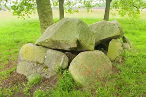 Drentsche: Prehistoric dolmen in grassland in spring