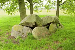 Drentsche: Prehistoric dolmen in grassland in spring