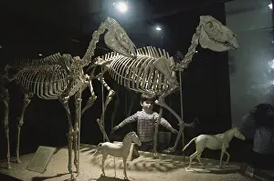 Mounted: Prehistoric Horses