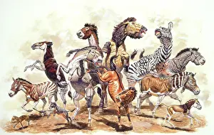 Primitive: Prehistoric Horses